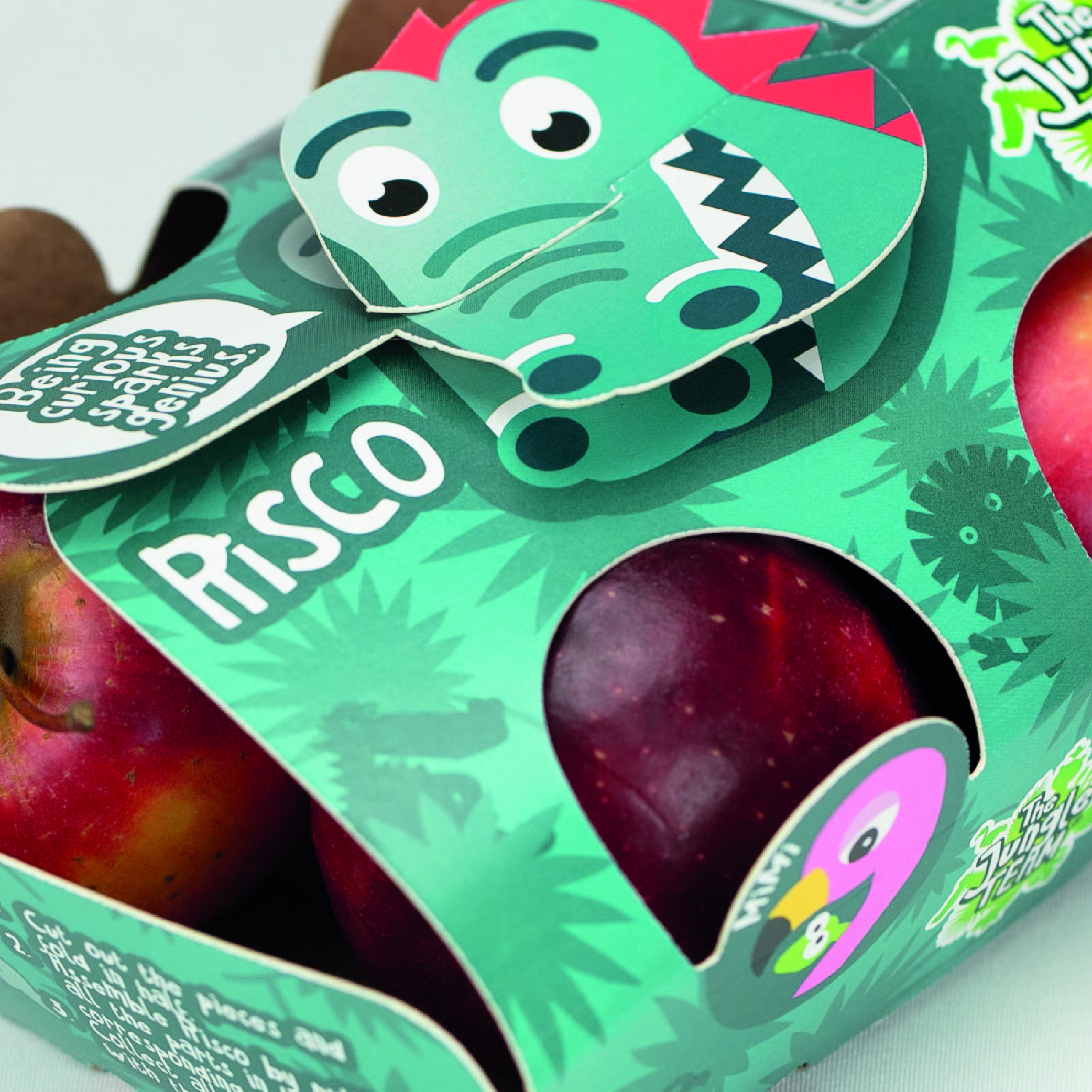 Portadilla-THE JUNGLE TEAM-CESTA -estructural-packaging-grafico-marca